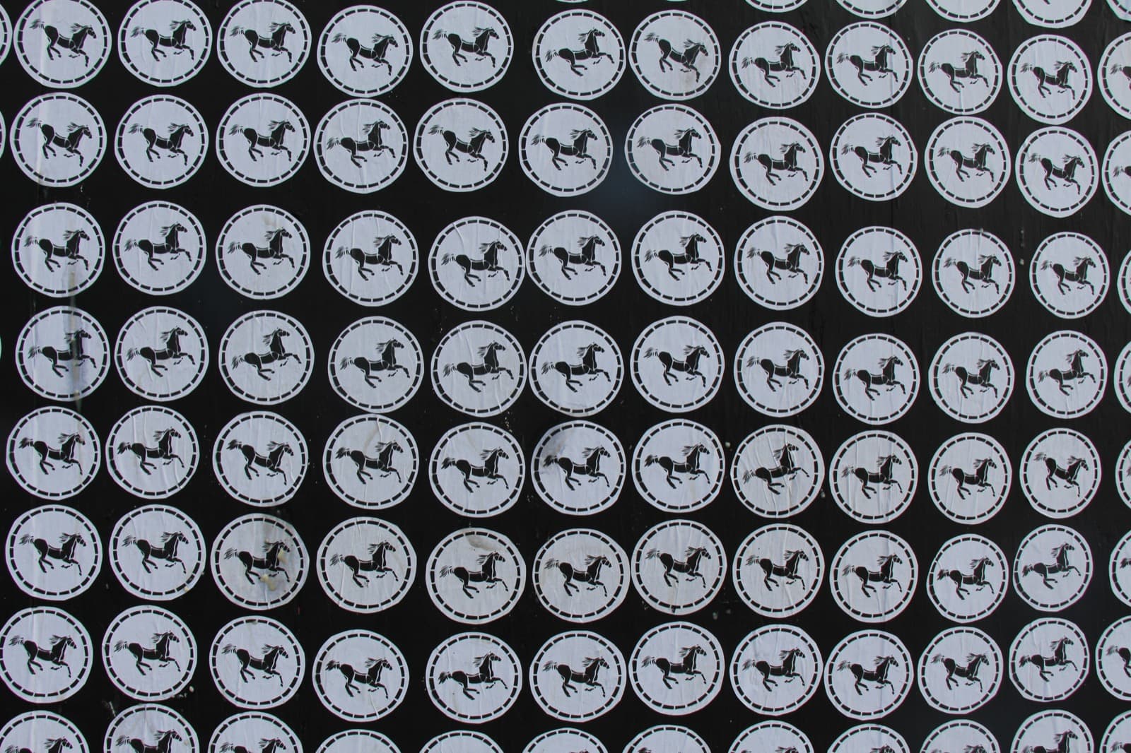 AR Murals — image 24